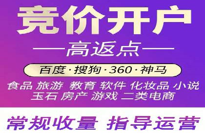 行业领先的SEM竞价广告投放案例